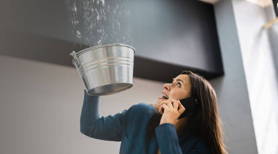 Why choose water damage cleanup for ceiling water damage repair in Homestead